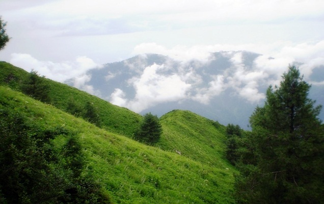 https://www.retreathotels.pk/nathiagali/natural-beauty-of-galiyat-and-nathiagali/19