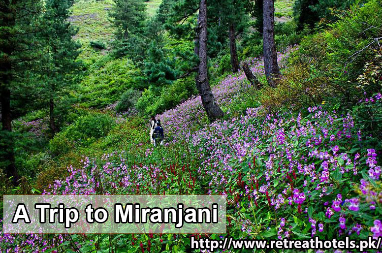 https://www.retreathotels.pk/nathiagali/TriptoMiranjani/42